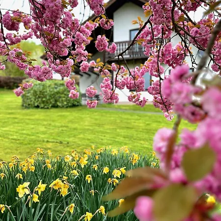 홀리데이파크 Rursee 3*